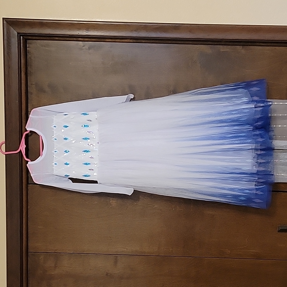 Elsa costume / Ice Queen / Special Occasion dress